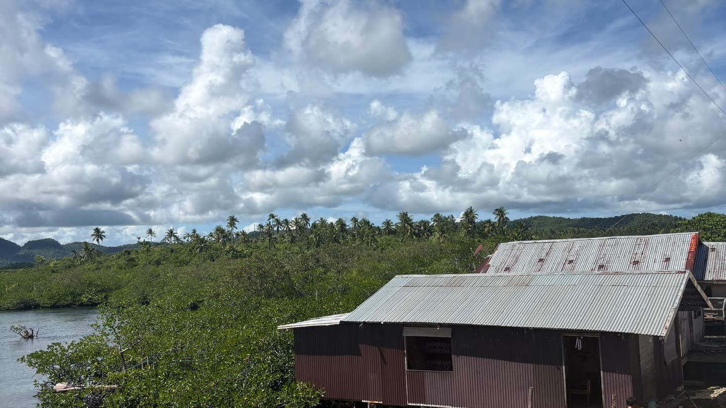 A house built on stilts over shallow water with mangroves behind it, in Siargao, Philippines