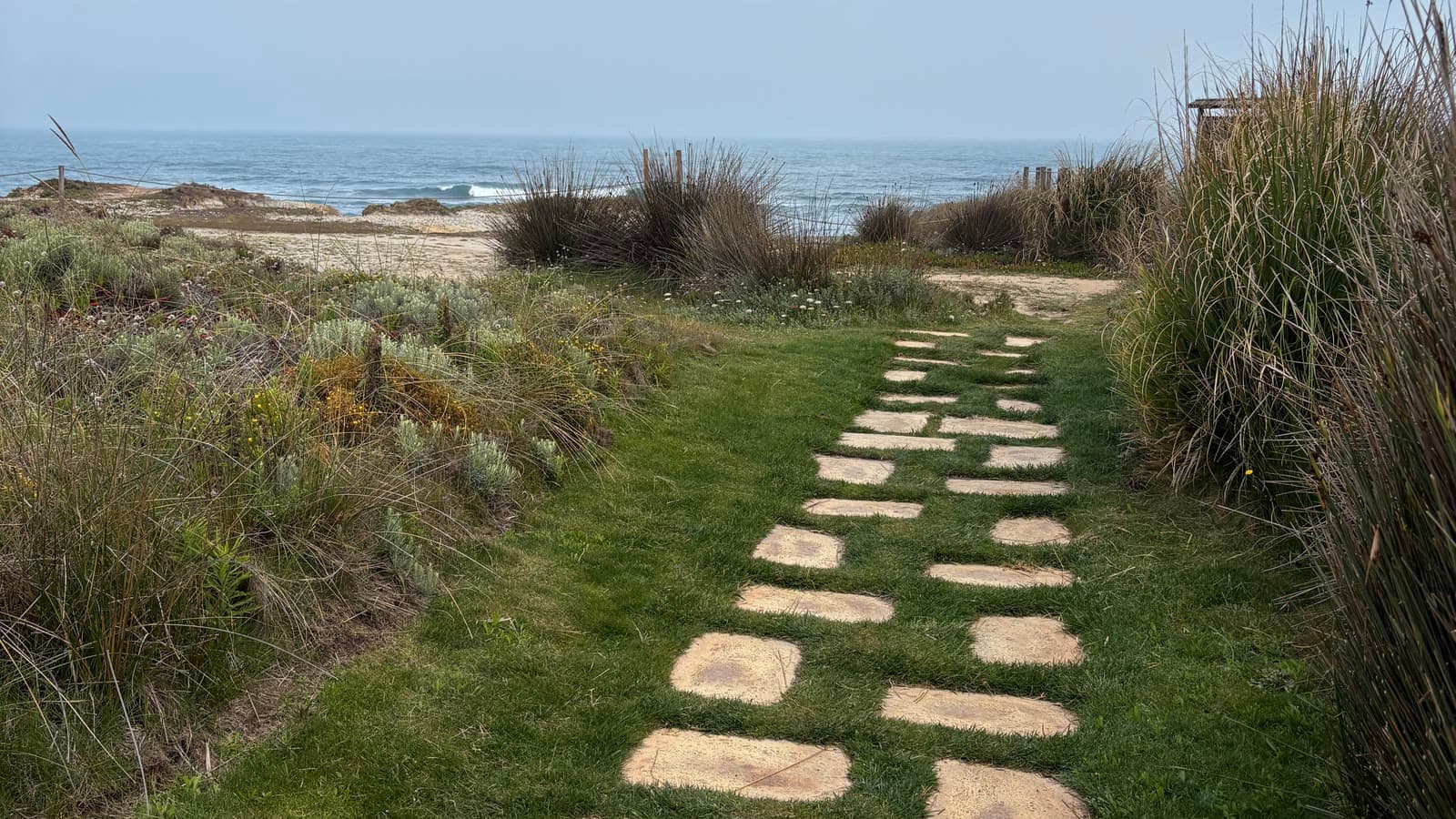 A stepping-stone path through coastal grass leading toward the Atlantic